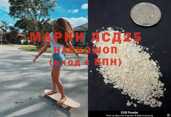 ГАЛЛЮЦИНОГЕННЫЕ ГРИБЫ Алзамай