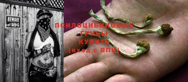 бутират Алексеевка