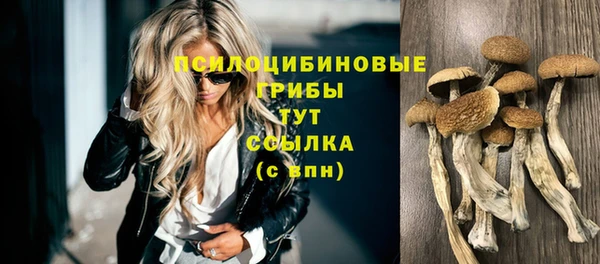 ГАЛЛЮЦИНОГЕННЫЕ ГРИБЫ Алзамай