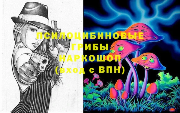 ГАЛЛЮЦИНОГЕННЫЕ ГРИБЫ Алзамай