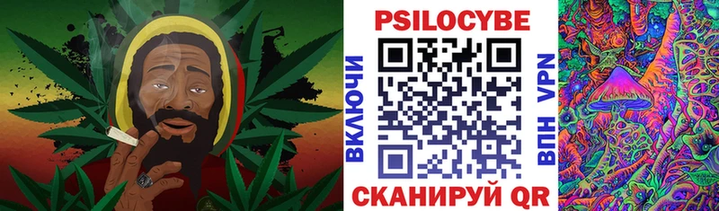 Галлюциногенные грибы мицелий  где купить наркоту  Кириши 