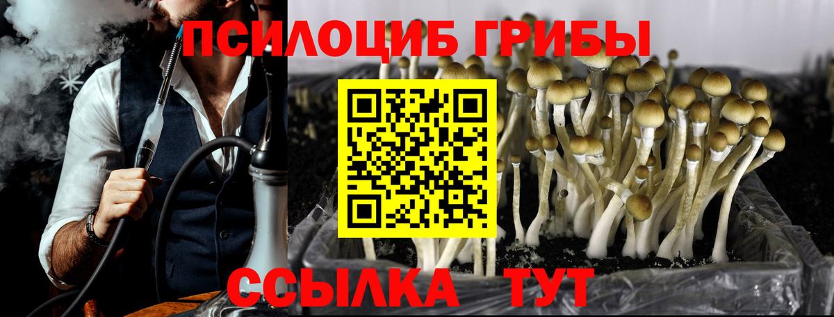 Галлюциногенные грибы Magic Shrooms  Вход с VPN  Кириши 